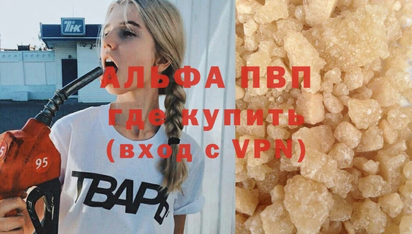 гидра Вязьма