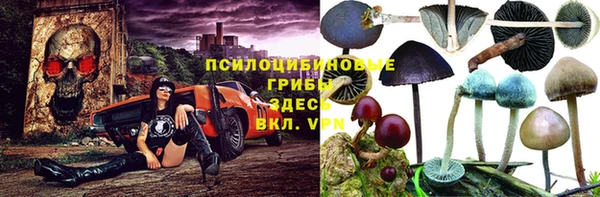 метадон Покачи